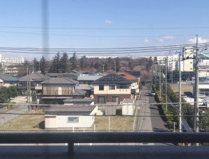 かすむ桃色の何か...