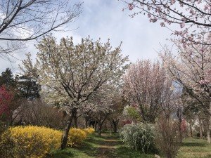 DC813376-0851-4B10-8217-3A91B8A159EE