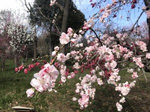 FF749AB7-11EE-4DB6-96E7-A6E823519554