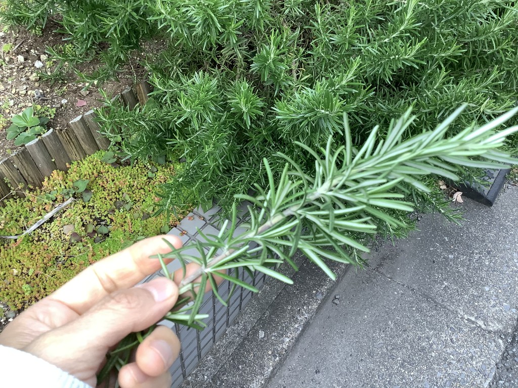 231A3EA6-24ED-46AC-9E83-26610253F964