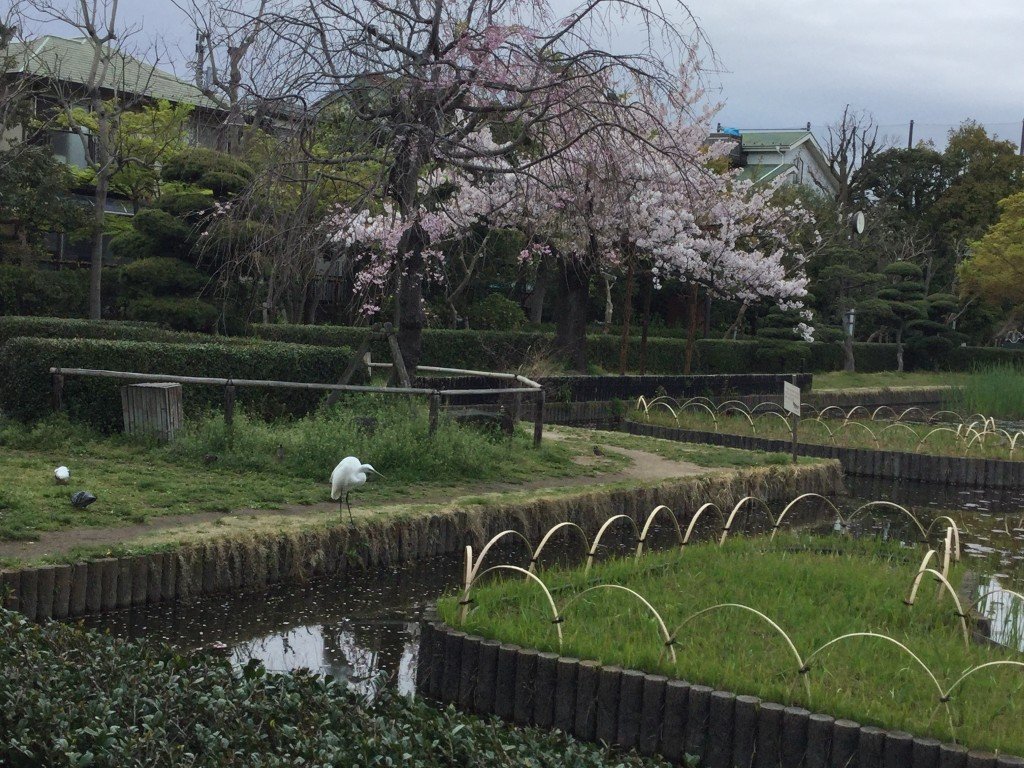 2363C920-D202-4DA3-A190-BA307FEF82CC