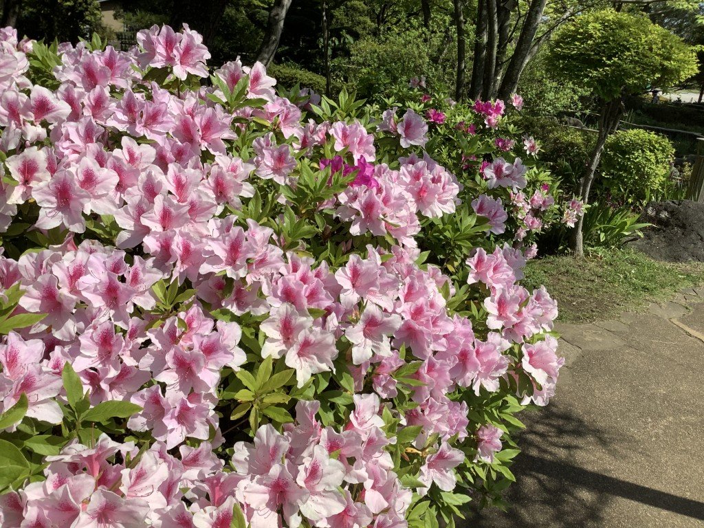 2603EBDE-F6FC-4EA9-BA83-E6ACF673E1E7