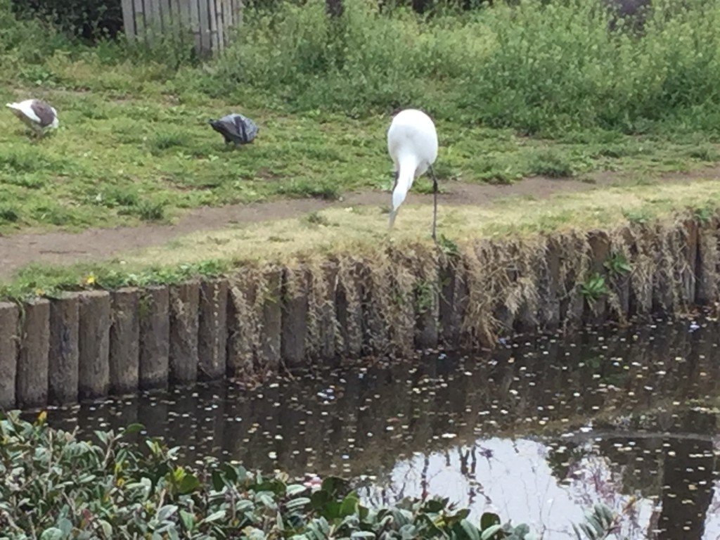 2F14FF2C-992D-49F2-9145-220A5F5ED83B