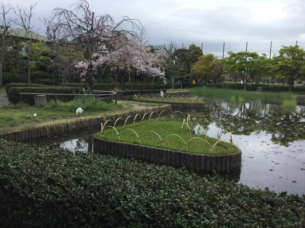 360052A3-25C7-4008-80FD-81B89E306B0A