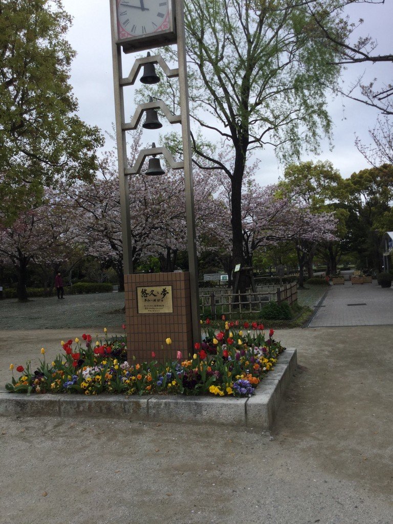 52AFE31F-0426-4E28-A0D5-E502992B23AD