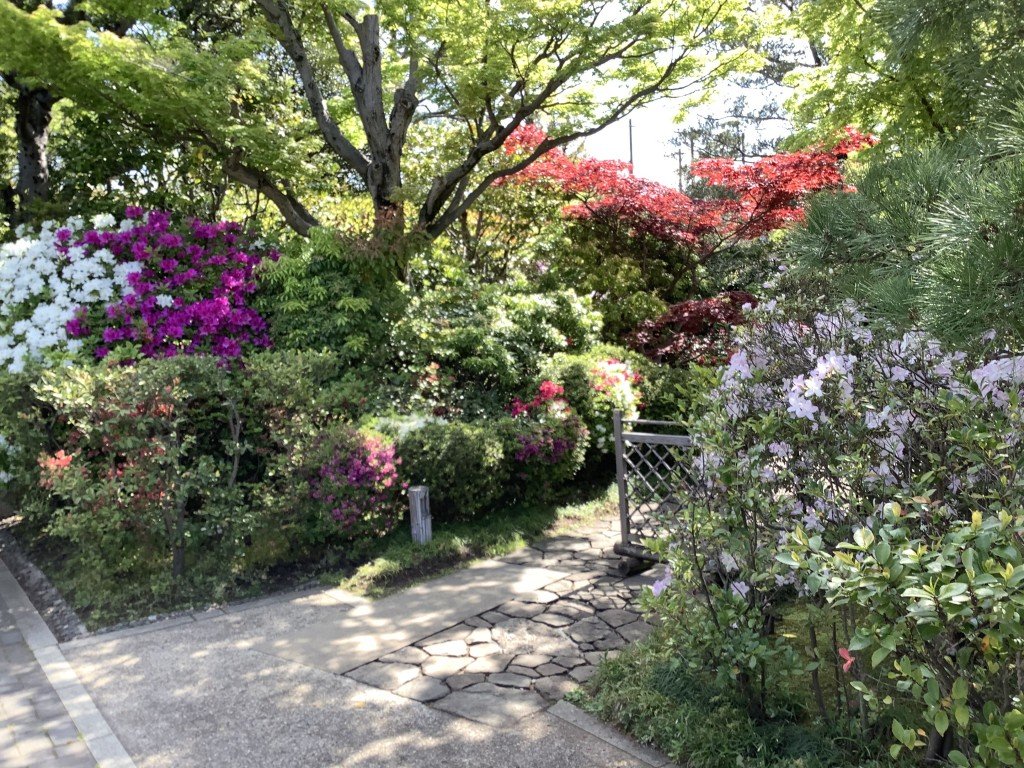 53F1D147-2492-47BA-9340-9D3C4C8F57D5