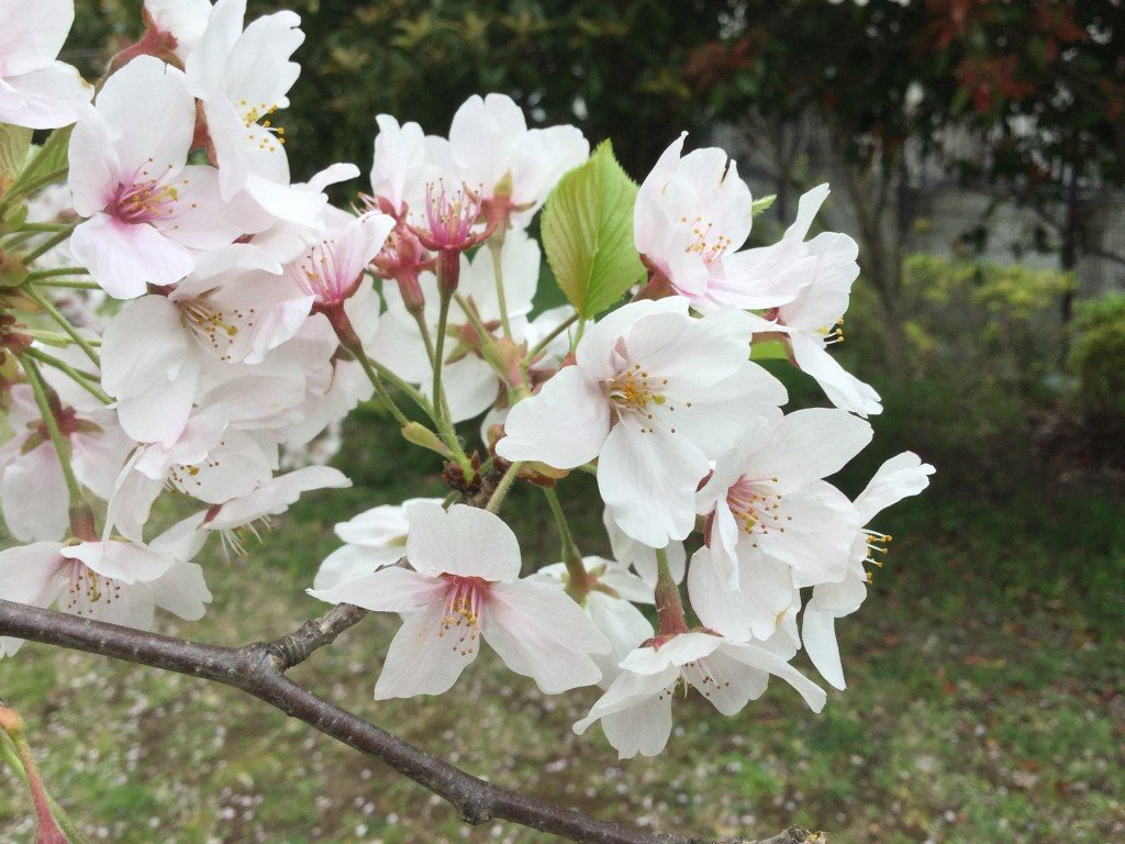 604D0750-690D-4BFF-807E-8344EBC6386F