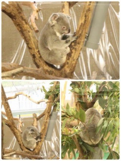 94530135_2717456635030657_2776165773784121344_o