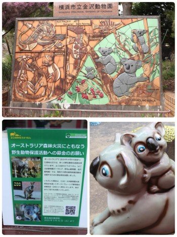 94699172_2717456608363993_5690797616699277312_o