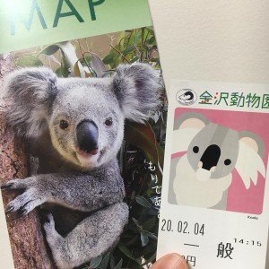 95034683_2717263531716634_4423764659308331008_o