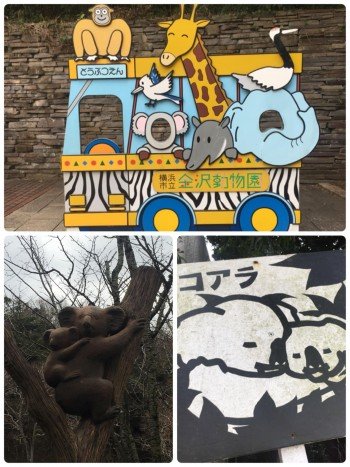 95042758_2717317705044550_1716357974743580672_o