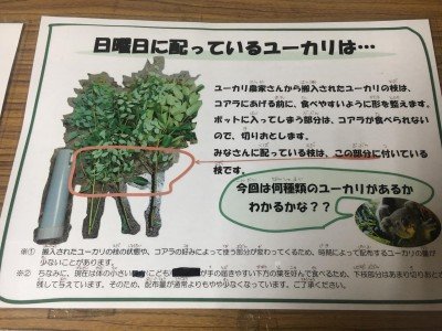 95233196_2717263418383312_3661188560158982144_o