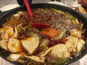 95495550_2721475041295483_2475087153290280960_o