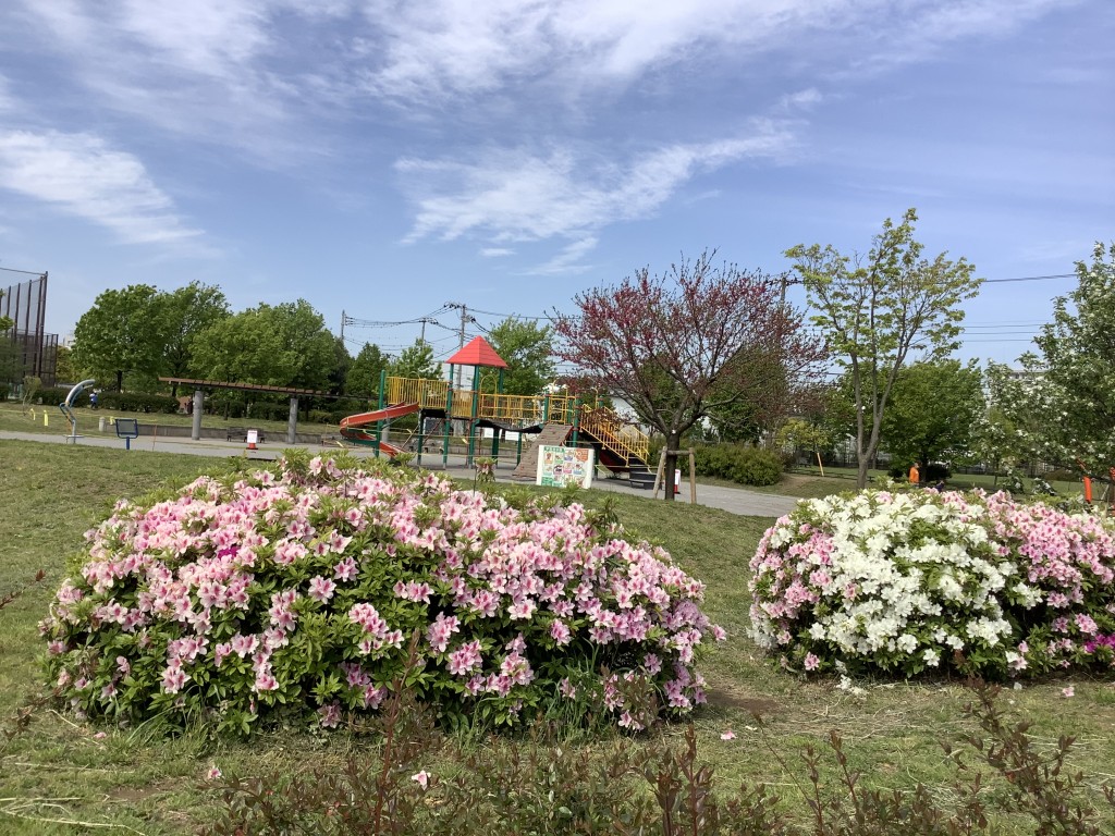 A655B1AE-00D4-417A-9327-58E0886D7C86