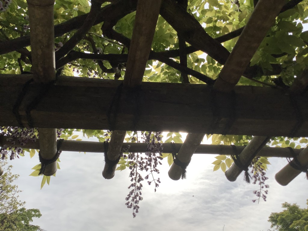 BCA59B87-D179-493E-8C4E-A04031E0F7B4