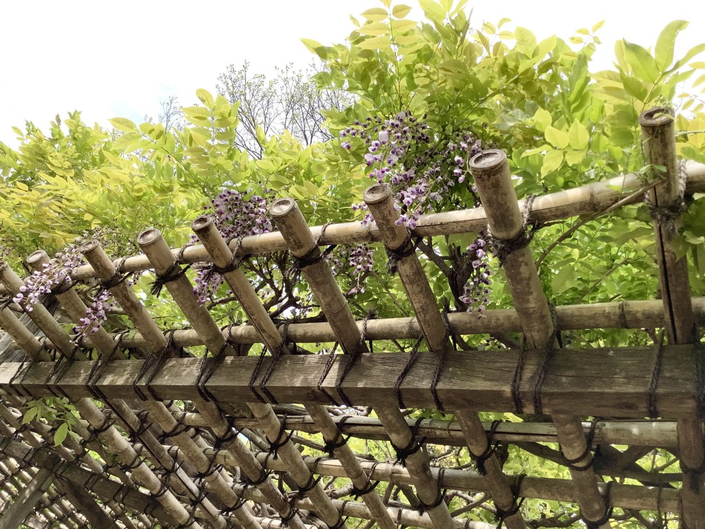 CE3B9B51-44EB-4B05-B8BC-8BD82D40687F