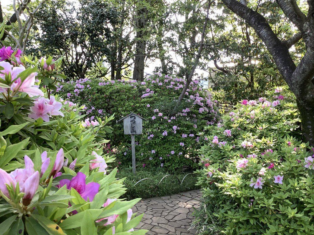 CEE203B3-1E49-4AF8-9177-B4366D6B9DB3