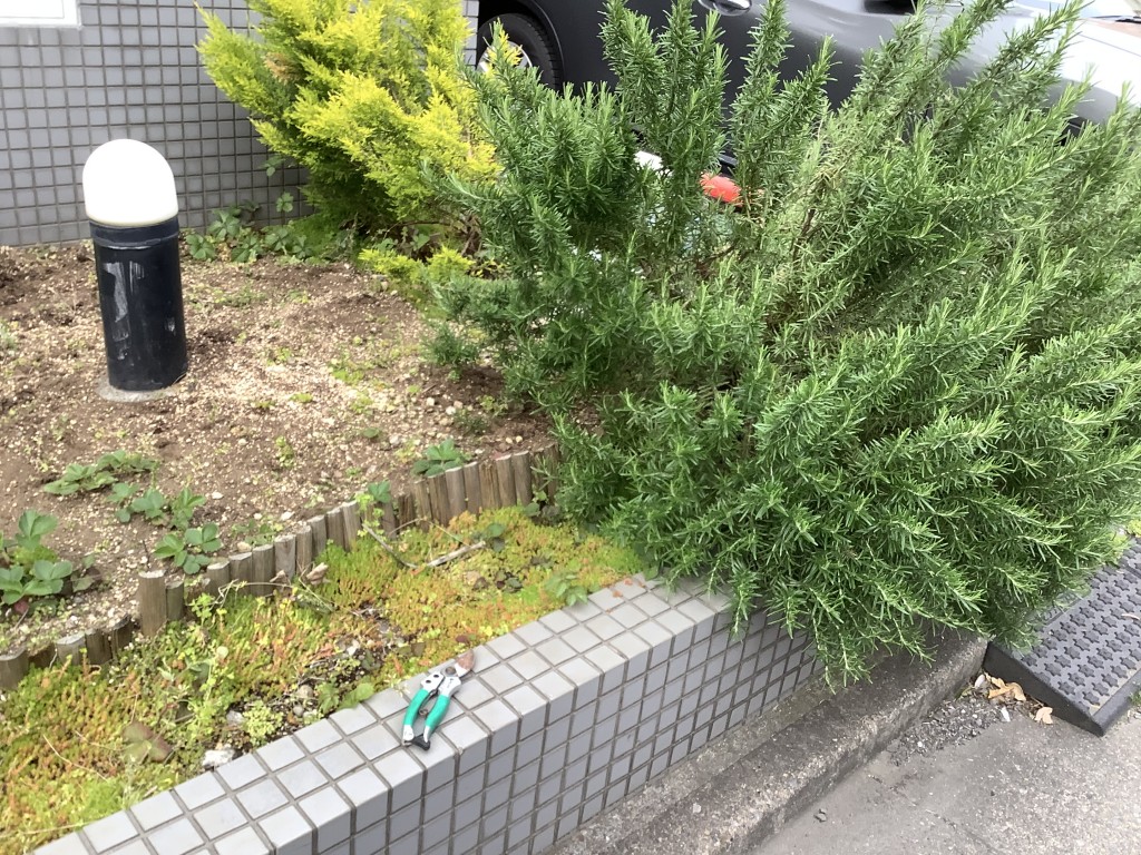 DD92C6F4-7425-44C6-83AD-12107807EEB5