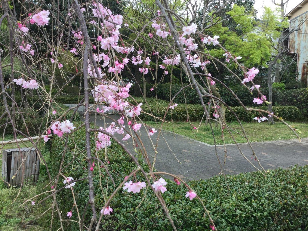 EB1976F9-20A7-4A66-811B-A8E9EE672902