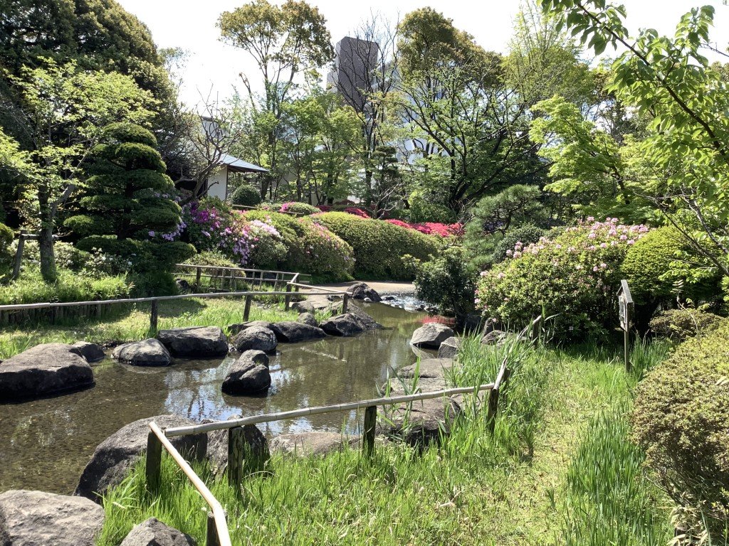 F67BB0CF-973D-4A78-BAA6-F4341E474EFC