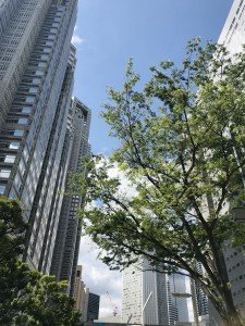 48805892-B628-4470-804A-48CB5E565FFF