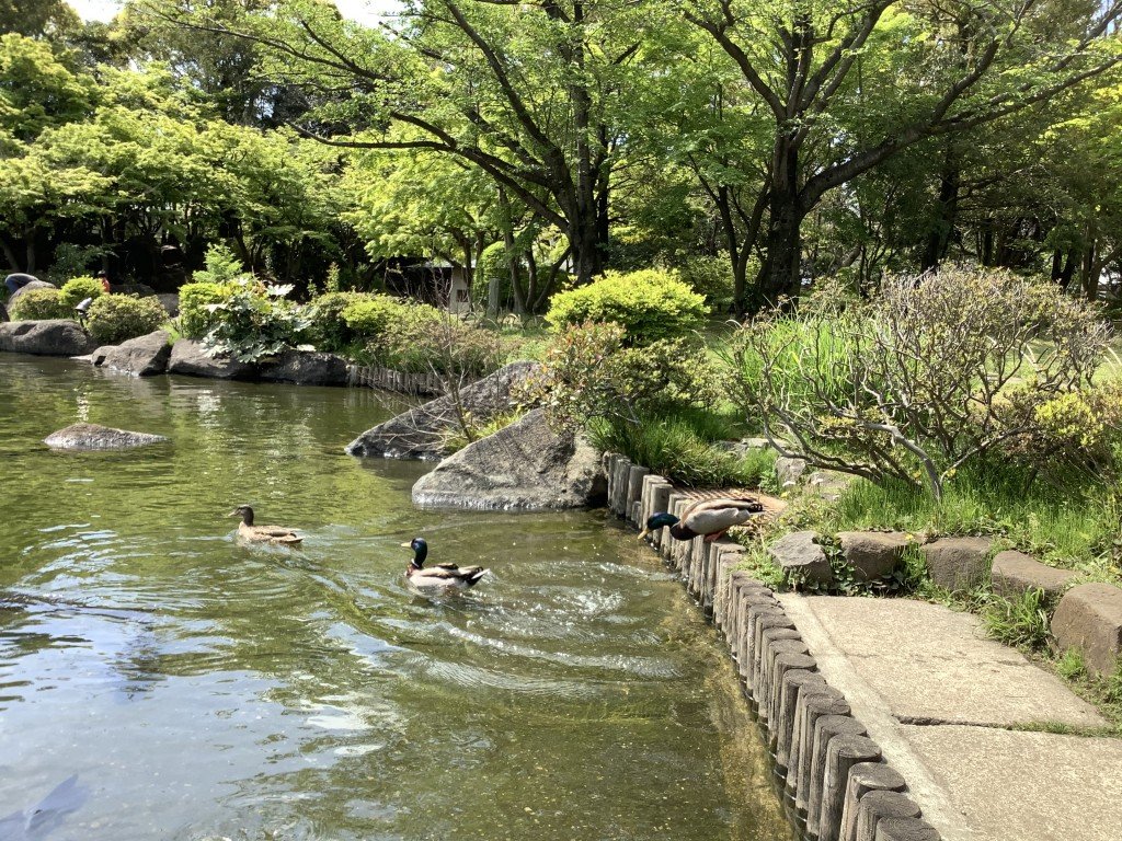 8344894B-F9CB-45B9-ABD2-28C05E5000D3