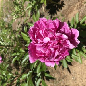 9BCF8BC6-7E48-4ED5-A607-82AA12077EA7