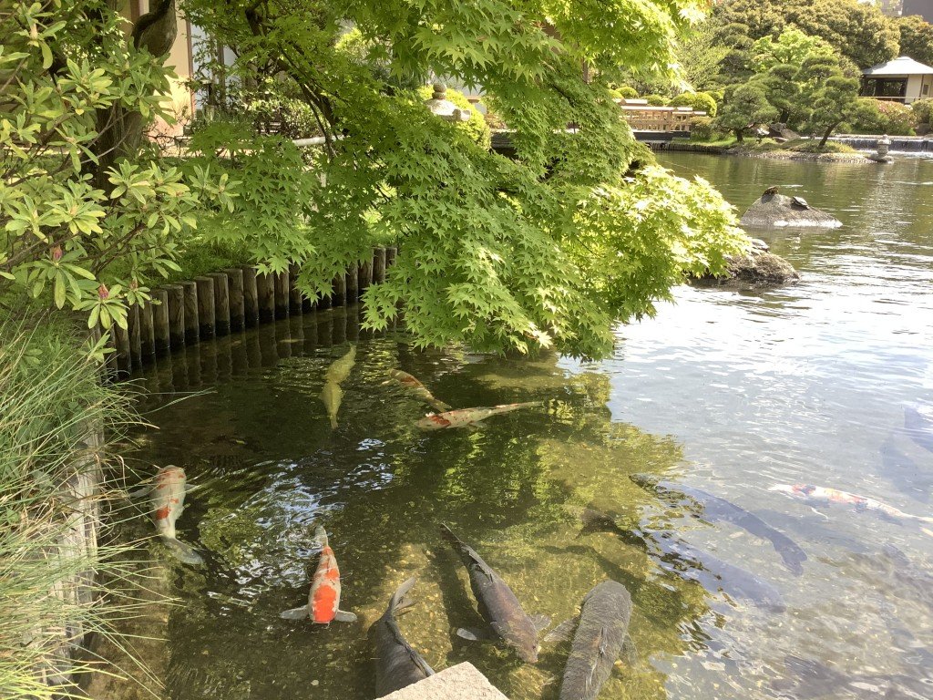 A031578F-5D4E-46E0-BE95-5BC9E5355202