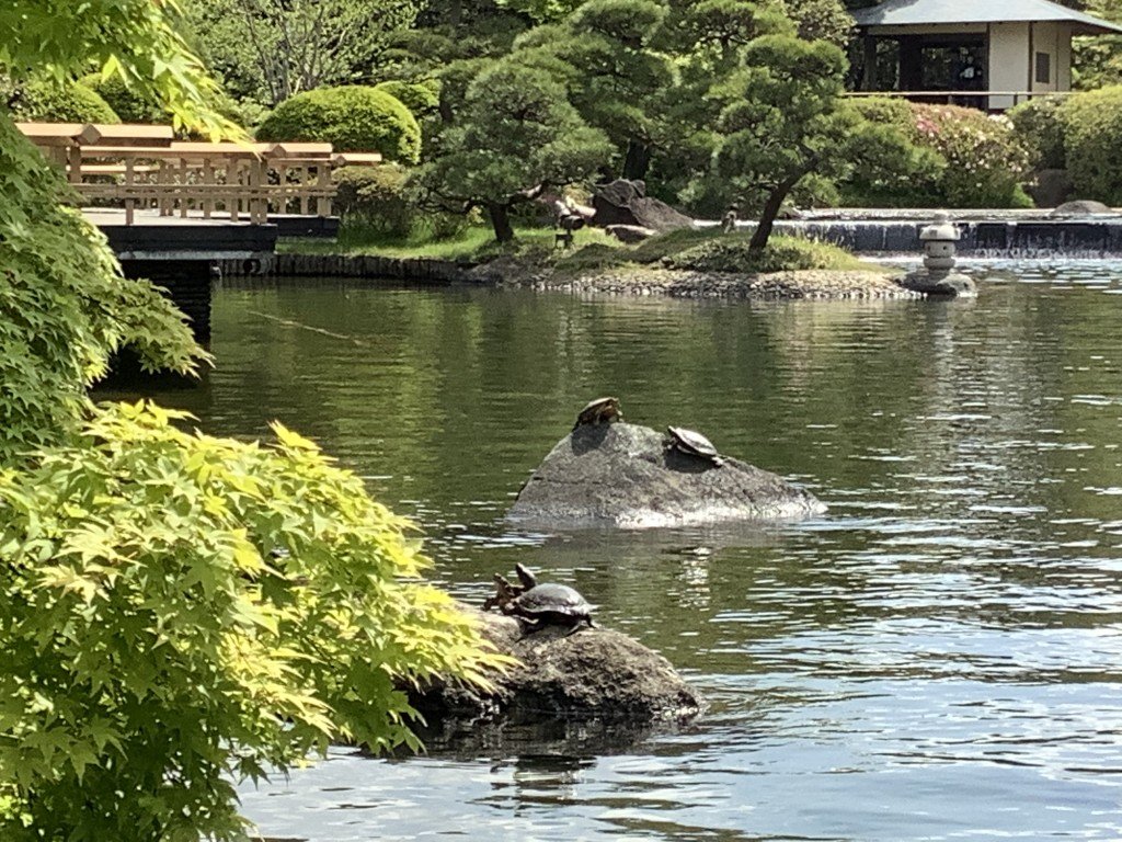 A06B34C3-4CF0-433D-91F1-FC46345FA936