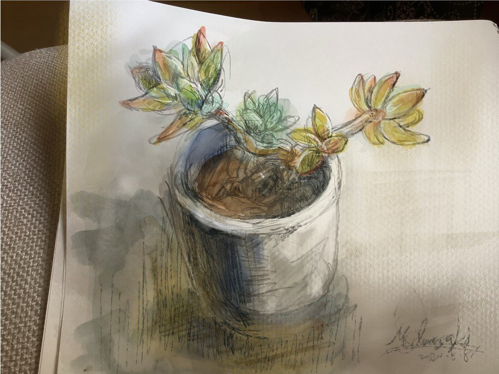 B1DAD9CC-1040-4AA9-9B66-D021A35C0BBB