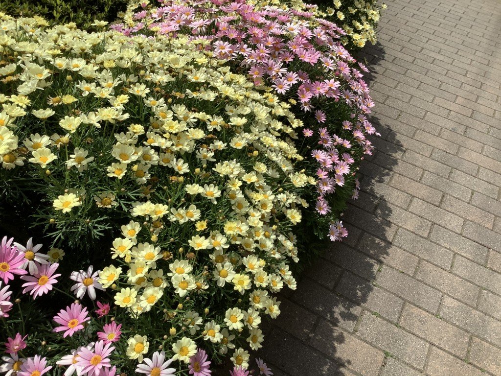 BDD411B6-C750-4703-A747-9AE3D7C794B4