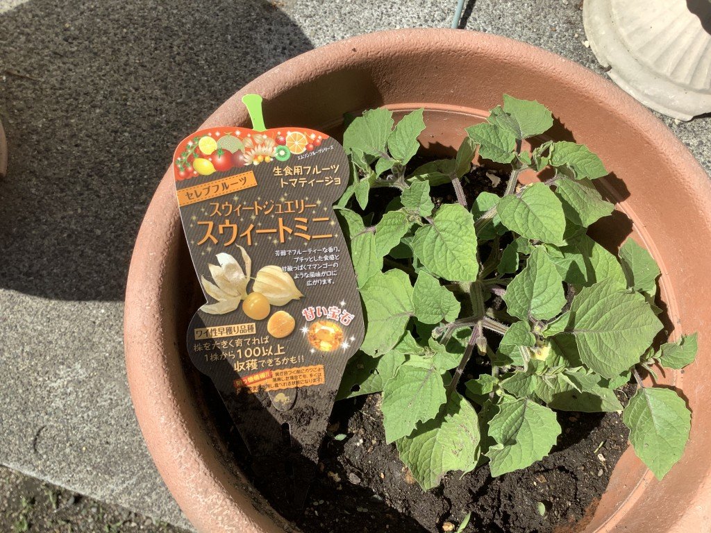 0A5E1FA3-9CF4-4072-A1DF-0DA46083DB77