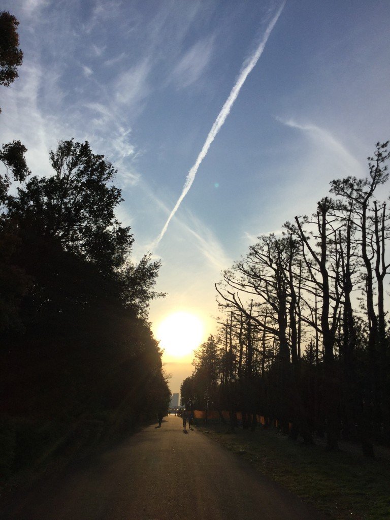 203D3176-8C70-4EDB-86D3-84F1CE4FE62F