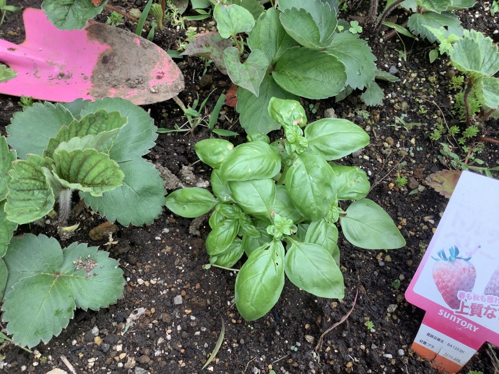 25211329-1290-4BE7-8497-E85F220FB274