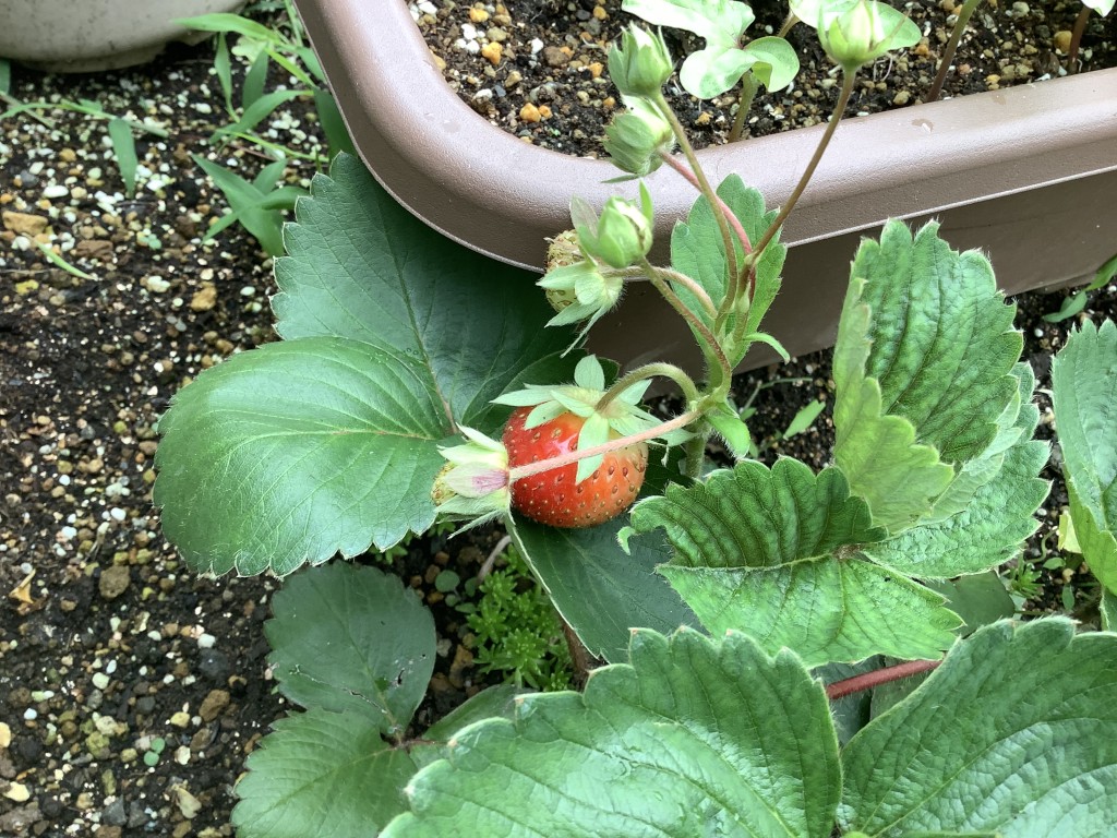 2D975825-6B20-4C1D-A7E8-705A024C4DC8