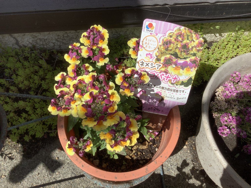 3D0B8618-1371-4CB9-8293-5B97ABF23342