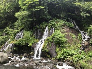 マイナスイオン!