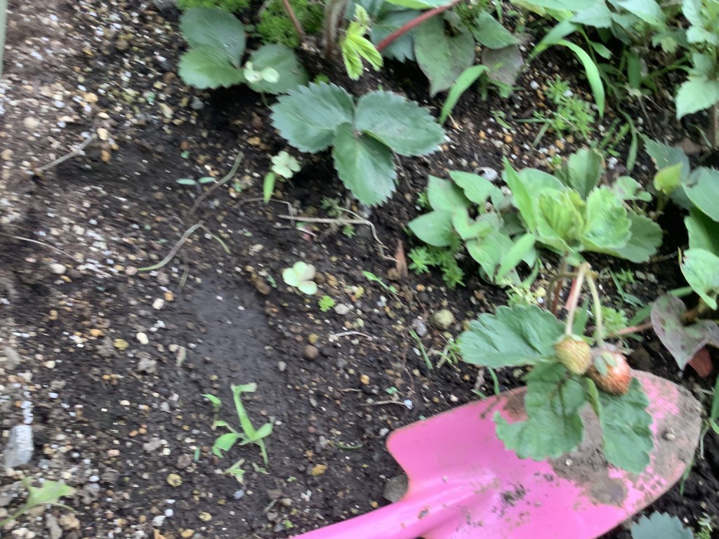 61DC6765-33DA-42A8-ABC8-B9CEE6162BDA