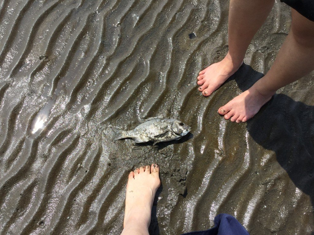 6F7DB6E6-CA13-4C0D-BA6E-C53C18462494