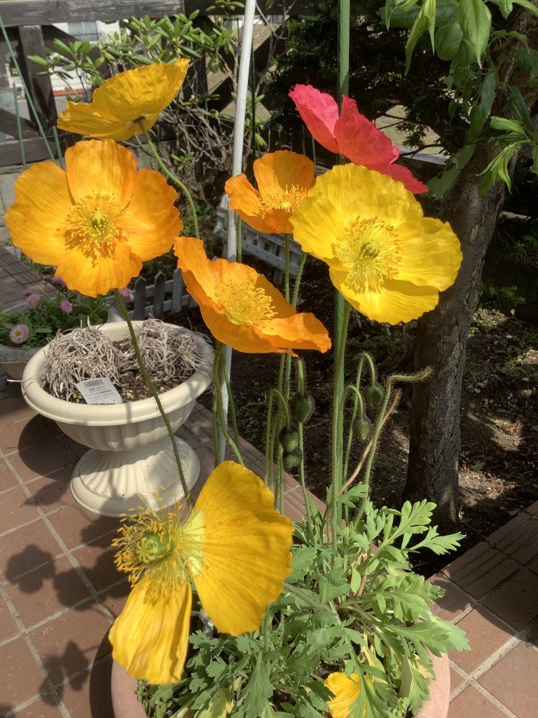 724A7B59-C5A5-4BC1-ACF4-13171F2BA255