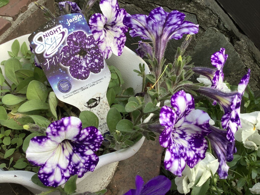 7E896876-C2DA-4792-814D-293EF25CD55C