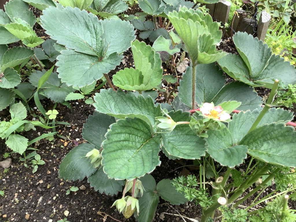 B77DDABC-636E-4E5E-A2F5-12D1A18B8B4B