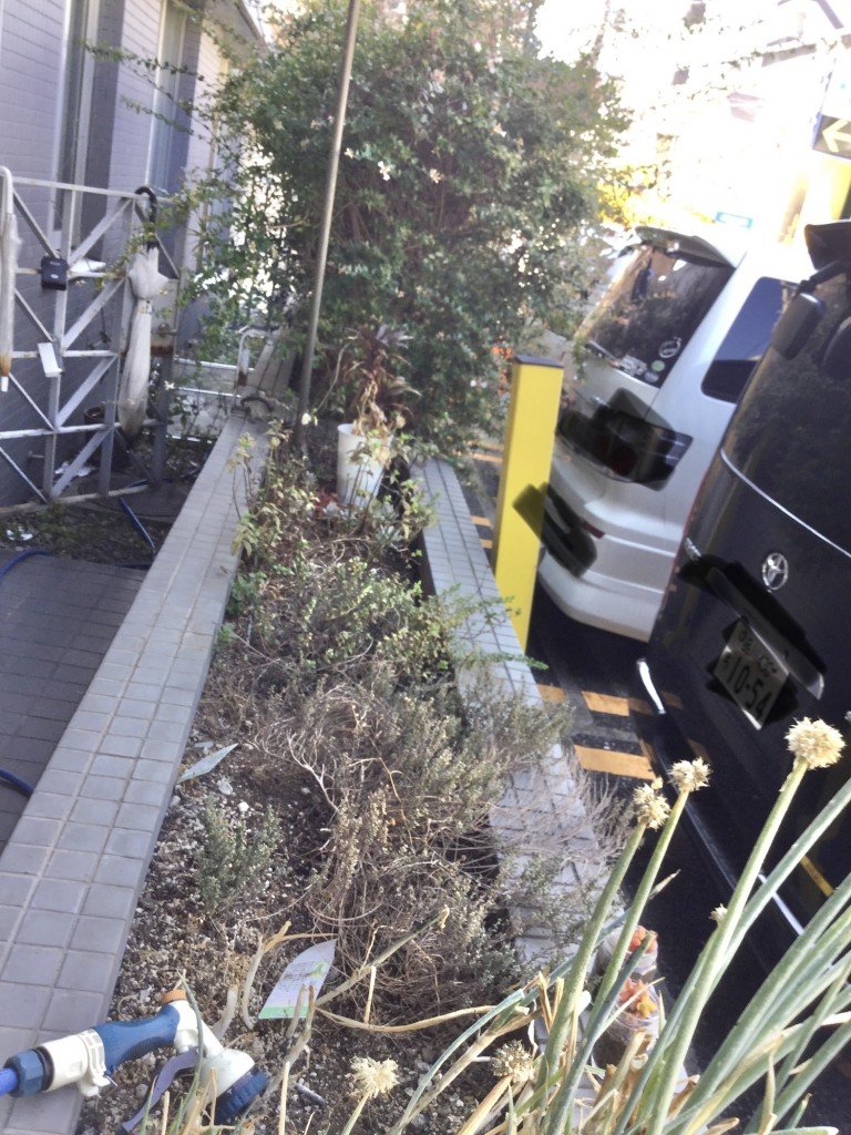 BEBB88B9-863A-4DA0-908D-D137B41F875A