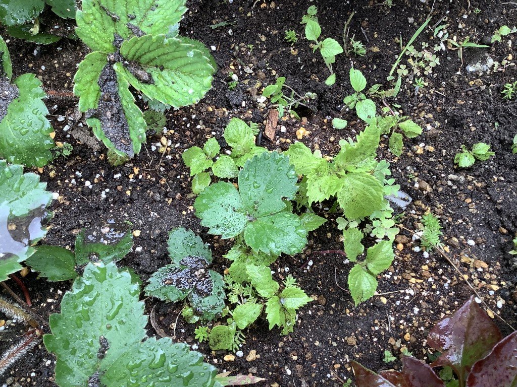 C47E7678-DA8C-4892-B1EE-FF5C349BA8E1