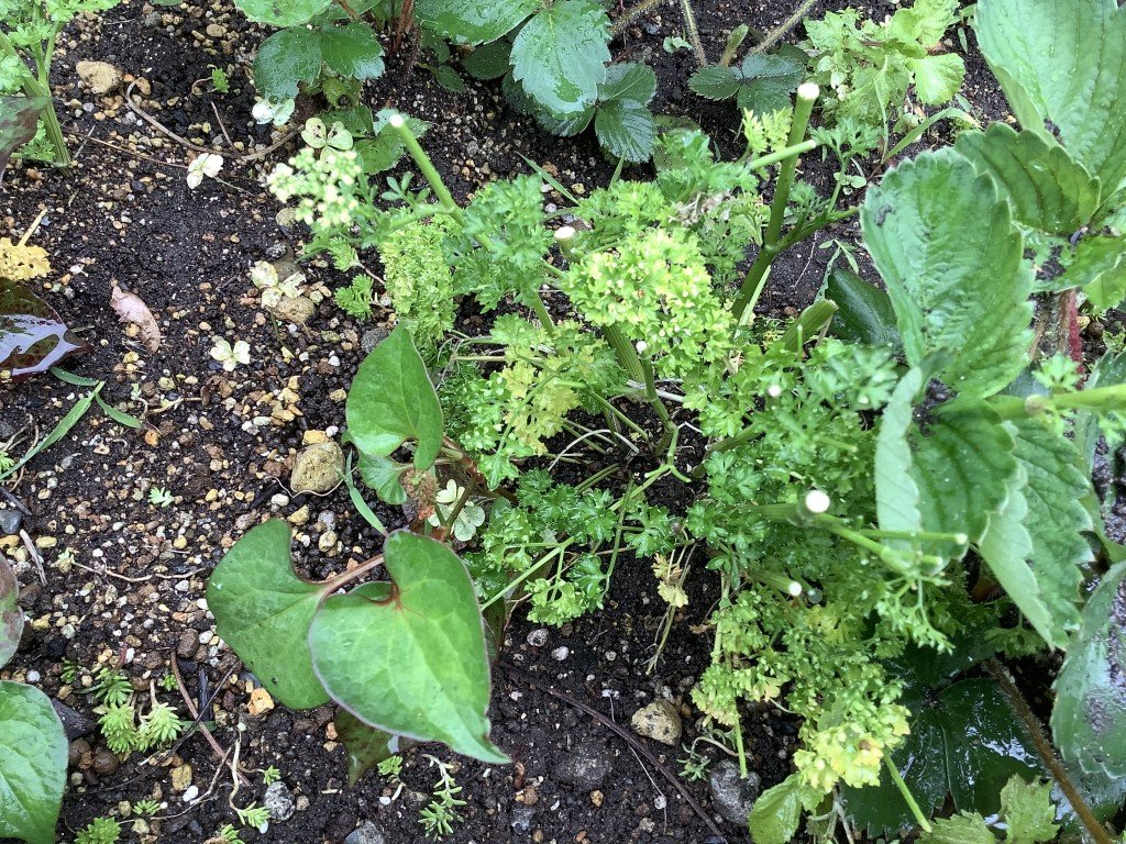 E855F75C-C5DC-4627-9A5D-7BA2EA788814