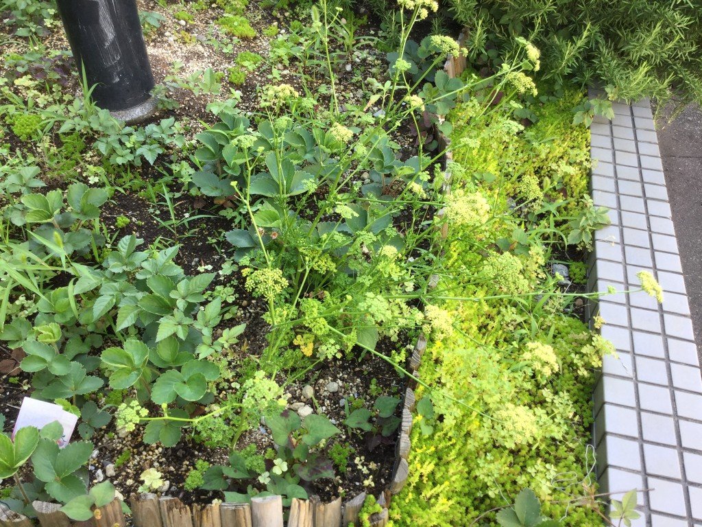 EA6409C3-3C8A-42B9-A986-2F599DAB3493