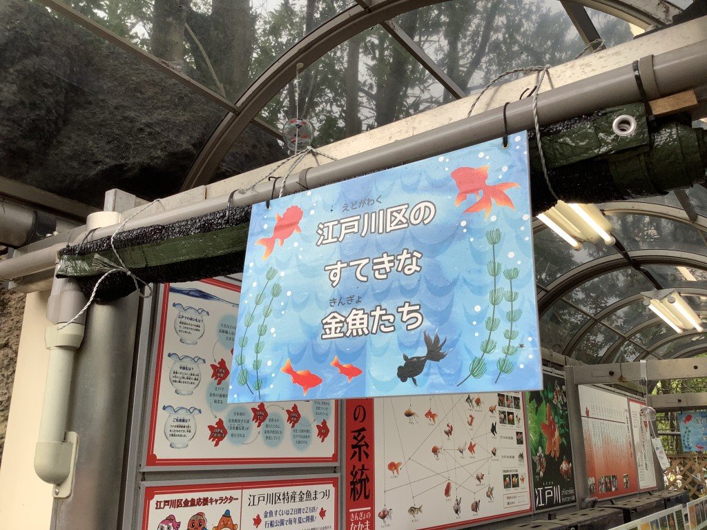 04874213-2E2D-436A-BD9C-A030EF53FDF1