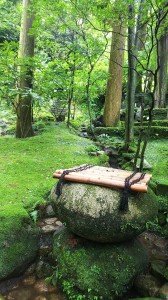 ほんとに絵に描いたよう