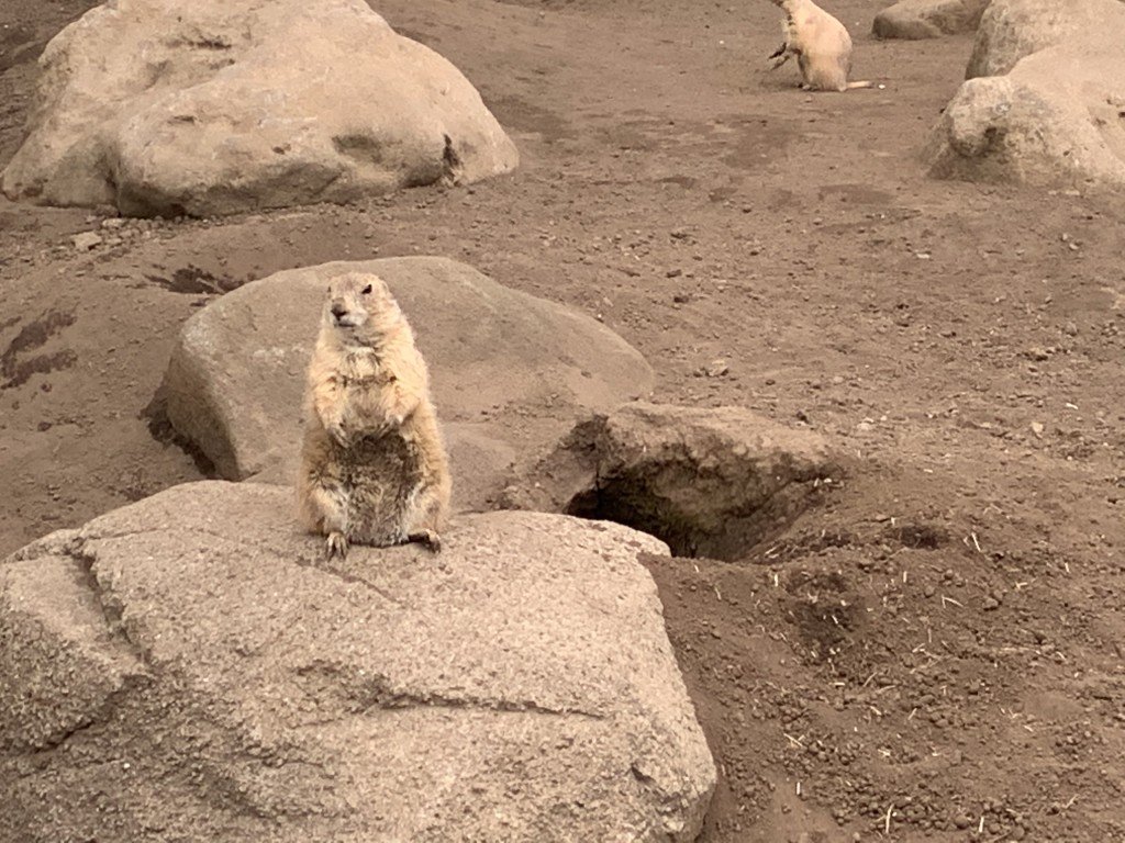 3BF7C7DE-2808-4525-8DAB-6CE46EC9A39E