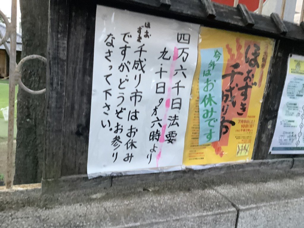 66B653ED-EDA1-456A-B4CD-A409EE0BA13B